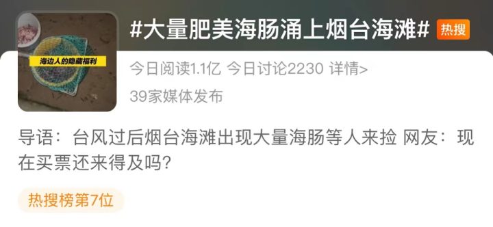 台风后大量肥美海肠被冲上沙滩,市民通宵赶海!南方吃货坐不住了:这到底是啥?有多好吃?